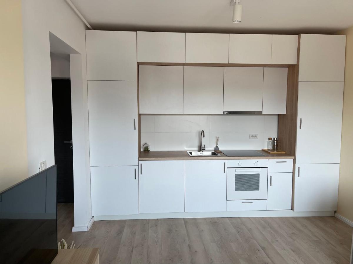 Diamond Luxury Apartment Near Presidential Palace Bükreş Dış mekan fotoğraf